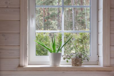 Garden Window - Window Repair Augusta County, Virginia